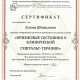 Сертификат/Диплом эксперта Шипилова Елена Сергеевна