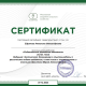 Сертификат/Диплом эксперта Анжелика Ефимова