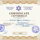 Сертификат/Диплом эксперта Алексей «Кудеяр»