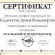 Сертификат/Диплом эксперта Диана Влади 