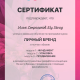 Сертификат/Диплом эксперта Илья Строганов