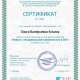 Сертификат/Диплом эксперта Ольга