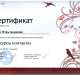 Сертификат/Диплом эксперта Игорь Ильин