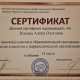 Сертификат/Диплом эксперта Ильина Алёна