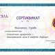 Сертификат/Диплом эксперта Виолетта