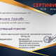 Сертификат/Диплом эксперта Леонова Светлана Александровна 