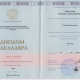 Сертификат/Диплом эксперта Дергачева Ксения