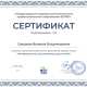 Сертификат/Диплом эксперта Валерия Суворова 