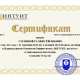 Сертификат/Диплом эксперта Лина Соснина