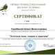 Сертификат/Диплом эксперта Елена Вячеславовна Скрябикова (Слепенкова) 