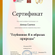 Сертификат/Диплом эксперта Алена